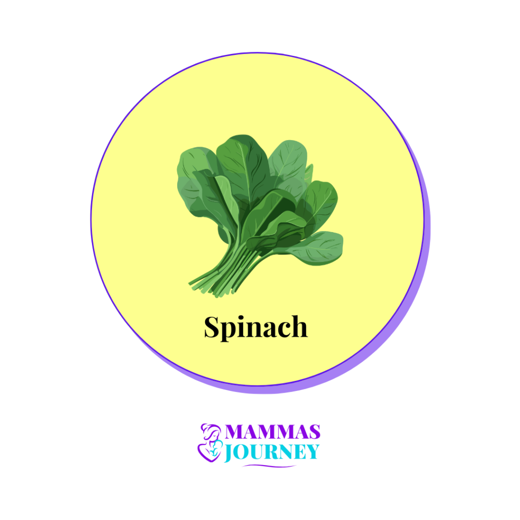 Super Foods for Pregnant or Breastfeeding Mothers_Spinach